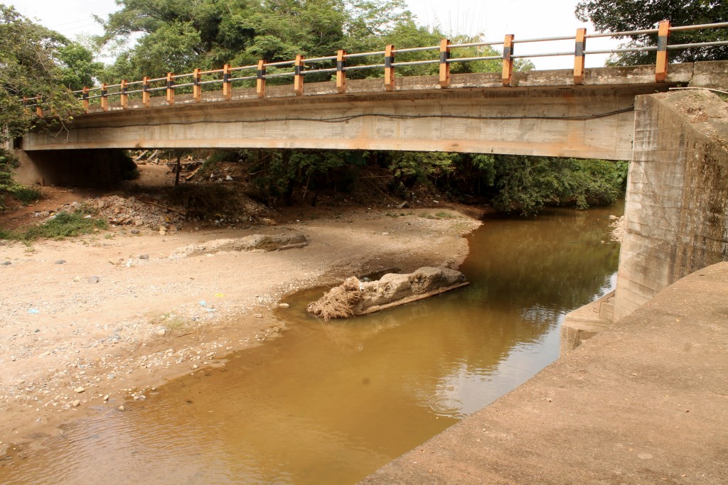 2 Puente Tune Palermo